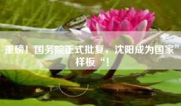 重磅！国务院正式批复，沈阳成为国家”样板“！