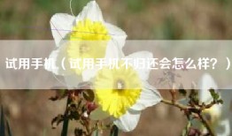 试用手机（试用手机不归还会怎么样？）