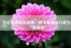 万亿级别市场浪潮，数字服务出口成为“新蓝海”