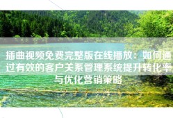 插曲视频免费完整版在线播放：如何通过有效的客户关系管理系统提升转化率与优化营销策略