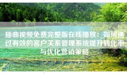插曲视频免费完整版在线播放：如何通过有效的客户关系管理系统提升转化率与优化营销策略