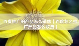百度推广的产品怎么销售【百度怎么推广产品怎么收费】