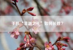 手机“非洲之王”如何长胜？