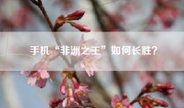 手机“非洲之王”如何长胜？
