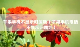 苹果手机不显示归属地（苹果手机电话不显示归属地）