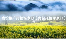 竞价推广托管谁家好（竞价托管哪家好）