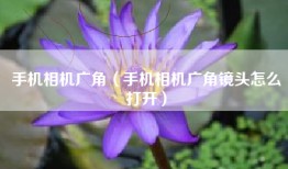 手机相机广角（手机相机广角镜头怎么打开）