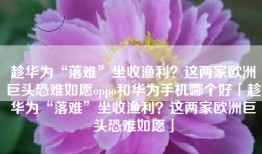 趁华为“落难”坐收渔利？这两家欧洲巨头恐难如愿oppo和华为手机哪个好「趁华为“落难”坐收渔利？这两家欧洲巨头恐难如愿」