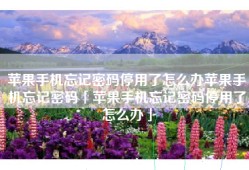苹果手机忘记密码停用了怎么办苹果手机忘记密码「苹果手机忘记密码停用了怎么办」