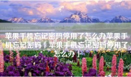 苹果手机忘记密码停用了怎么办苹果手机忘记密码「苹果手机忘记密码停用了怎么办」