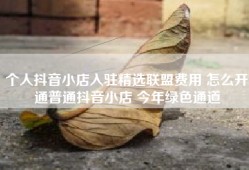 个人抖音小店入驻精选联盟费用 怎么开通普通抖音小店 今年绿色通道