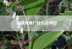 新媒体推广什么品牌好