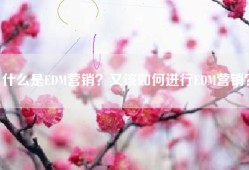 什么是EDM营销？又该如何进行EDM营销？
