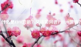 什么是EDM营销？又该如何进行EDM营销？