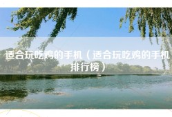 适合玩吃鸡的手机（适合玩吃鸡的手机排行榜）