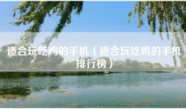 适合玩吃鸡的手机（适合玩吃鸡的手机排行榜）