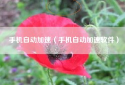手机自动加速（手机自动加速软件）