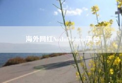 海外网红NoxInfluencer平台