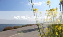海外网红NoxInfluencer平台