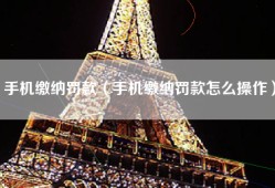 手机缴纳罚款（手机缴纳罚款怎么操作）