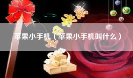 苹果小手机（苹果小手机叫什么）