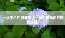 一加手机如何截图（一加手机如何截图快捷键）