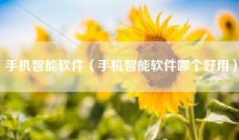 手机智能软件（手机智能软件哪个好用）
