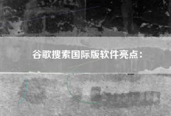 谷歌搜索国际版软件亮点：