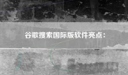 谷歌搜索国际版软件亮点：
