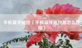 手机蓝牙遥控（手机蓝牙遥控器怎么连接）