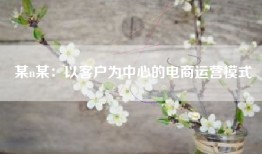 某n某：以客户为中心的电商运营模式