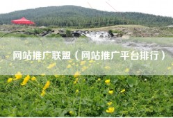 网站推广联盟（网站推广平台排行）