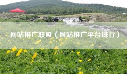 网站推广联盟（网站推广平台排行）