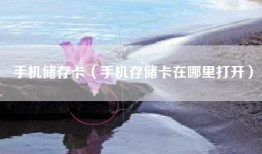 手机储存卡（手机存储卡在哪里打开）