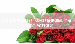11月销量再破3万！A级SUV最低油耗“宋Pro DM-i”实力强劲