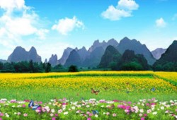 店面收银系统免费版真的好用吗？