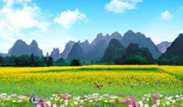 店面收银系统免费版真的好用吗？