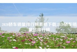 2020轿车销量排行榜表格下载,2020轿车销量总排行榜