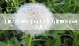 手机万能解锁密码（手机万能解锁密码大全）