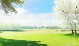 app广告投放推广_app广告投放推广收费