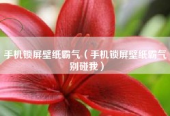 手机锁屏壁纸霸气（手机锁屏壁纸霸气 别碰我）