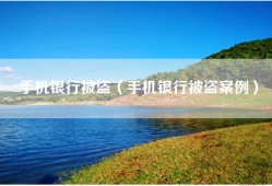 手机银行被盗（手机银行被盗案例）