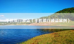 手机银行被盗（手机银行被盗案例）