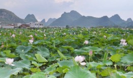 2024年端午节是几号 2024年端午节斋醮是吉日吗