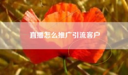 直播怎么推广引流客户