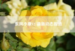 东风小康V27最新动态报道