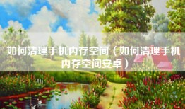如何清理手机内存空间（如何清理手机内存空间安卓）