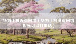 华为手机没有网络（华为手机没有网络但是可以打电话）