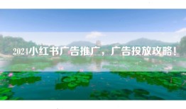 2024小红书广告推广，广告投放攻略！