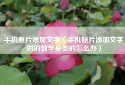 手机照片添加文字（手机照片添加文字时的数字是倒的怎么办）